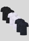 Basis 6-pack